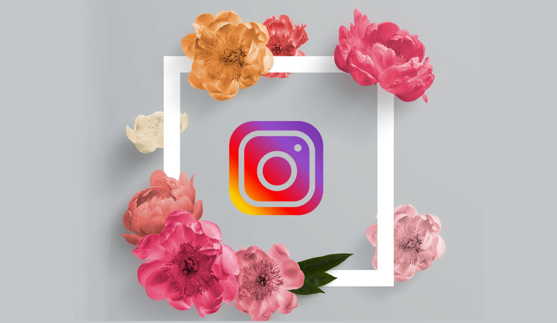 Instagram updates: How to take advantage of new features